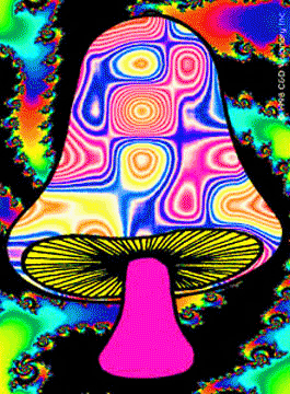 Psicodelia
