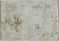 Anatomía Humana